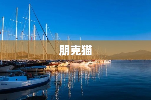 朋克猫：打破传统的叛逆之作