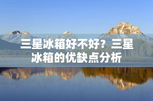 三星冰箱好不好?三星冰箱的优缺点分析