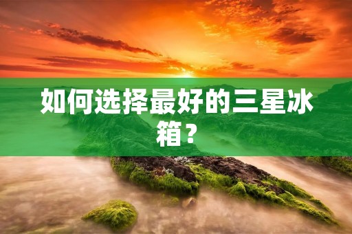 如何选择最好的三星冰箱?