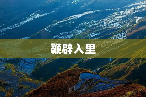 鞭辟入里：如何用深刻的见解打动读者