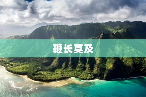 鞭长莫及：探究现代社会的个人责任与社会责任