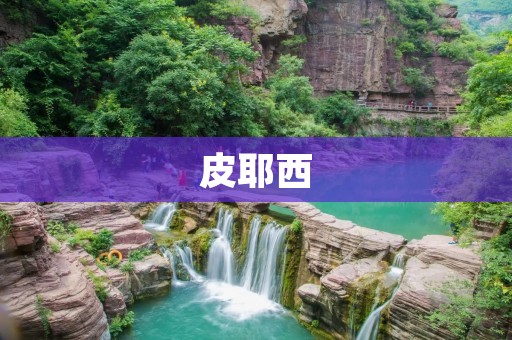 皮耶西:意大利足球之光 皮耶西:意大利足球之光