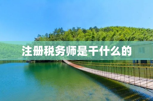 注册税务师是干什么的