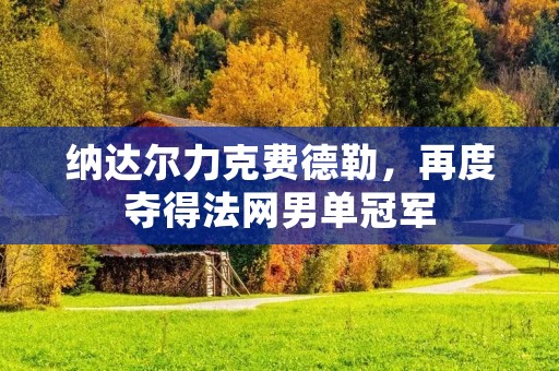 纳达尔力克费德勒，再度夺得法网男单冠军
