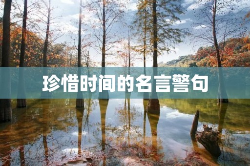 珍惜时间的名言警句