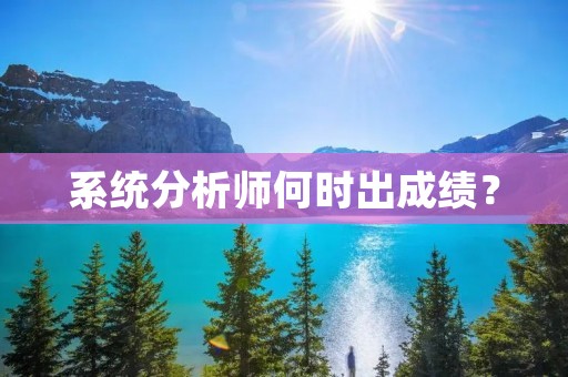 系统分析师何时出成绩？