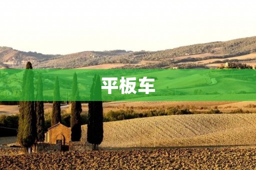 平板车:城市出行新选择 平板车:城市出行新选择
