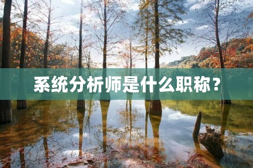 系统分析师是什么职称?