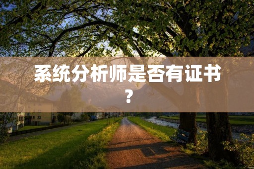 系统分析师是否有证书?