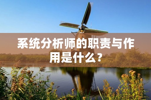 系统分析师的职责与作用是什么?