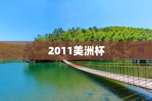2011美洲杯：阿根廷夺冠，梅西成最佳球员