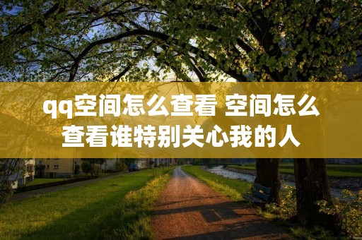 qq空间怎么查看 空间怎么查看谁特别关心我的人