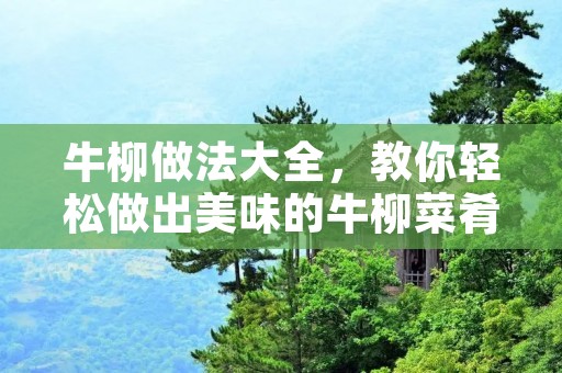 牛柳做法大全,教你轻松做出美味的牛柳菜肴 牛柳做法大全,教你轻松做出美味的牛柳菜肴