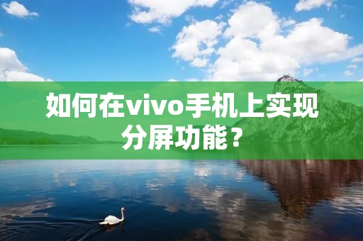 如何在vivo手机上实现分屏功能？