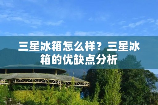 三星冰箱怎么样?三星冰箱的优缺点分析