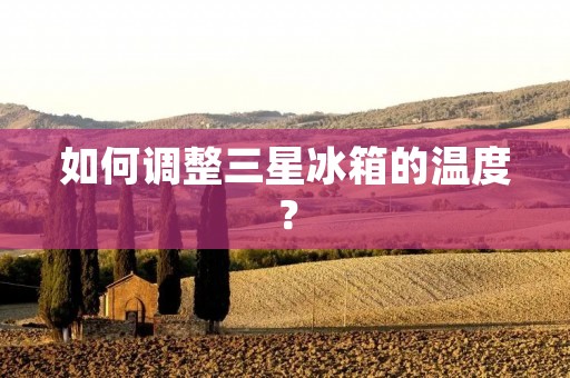 如何调整三星冰箱的温度?