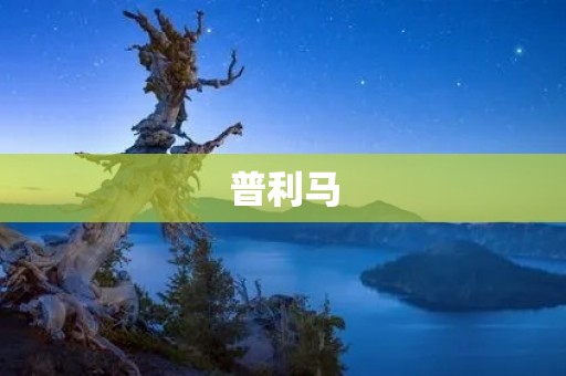 普利马:中国新能源汽车领域的领军企业 普利马:中国新能源汽车领域的领军企业