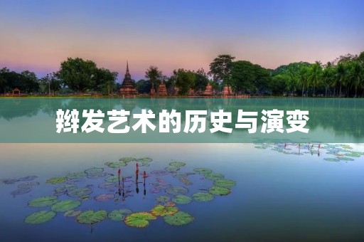 辫发艺术的历史与演变