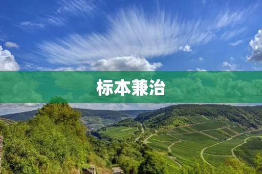 标本兼治：从根本上解决问题