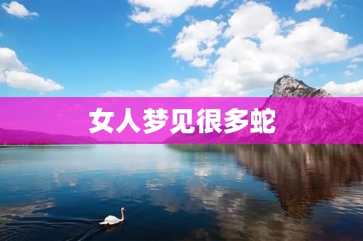女人梦见很多蛇