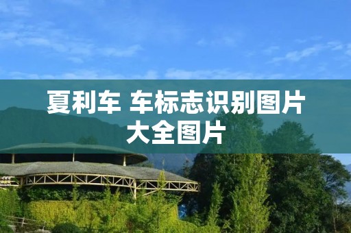 夏利车 车标志识别图片大全图片