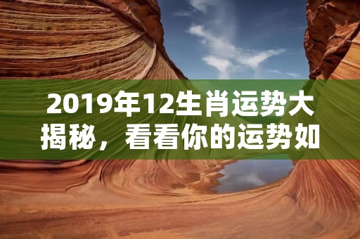 2019年12生肖运势大揭秘，看看你的运势如何？