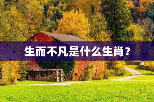 生而不凡是什么生肖？