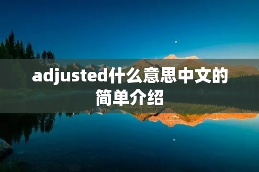 adjusted什么意思中文的简单介绍 adjusted什么意思中文的简单介绍