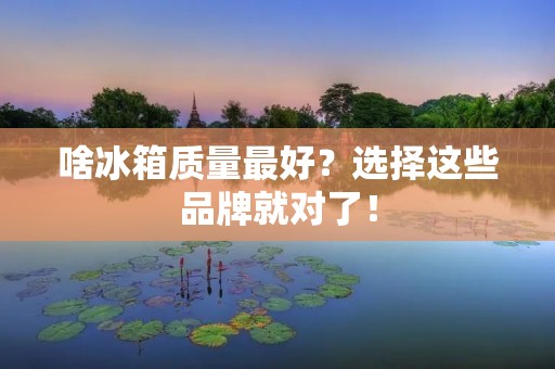 啥冰箱质量最好?选择这些品牌就对了!