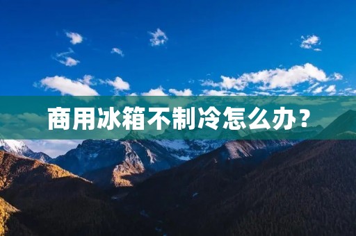 商用冰箱不制冷怎么办?