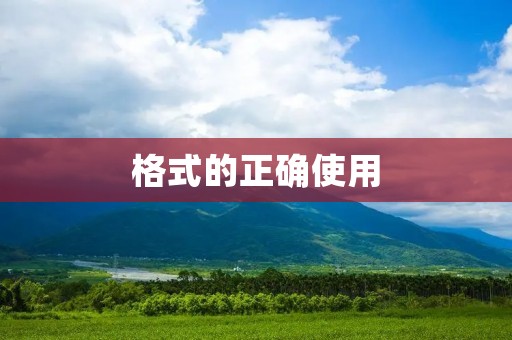 格式的正确使用