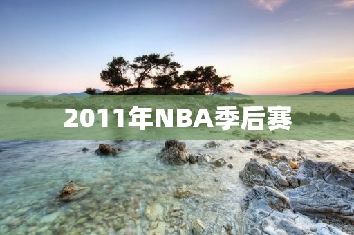 2011年NBA季后赛：热火夺冠，詹姆斯首次封王