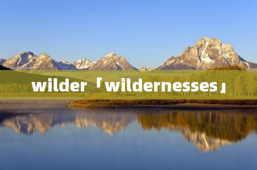 wilder「wildernesses」 wilder「wildernesses」