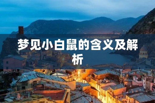 梦见小白鼠的含义及解析