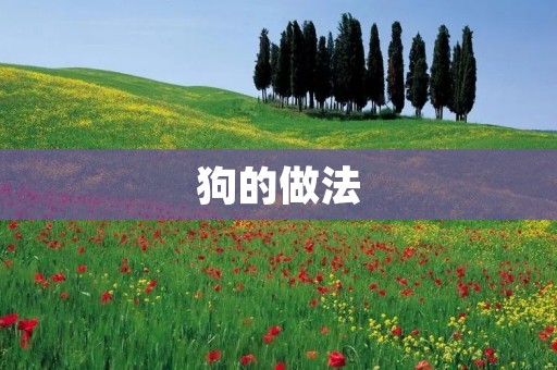 狗的做法：如何让你的狗更听话