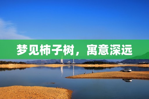 梦见柿子树，寓意深远