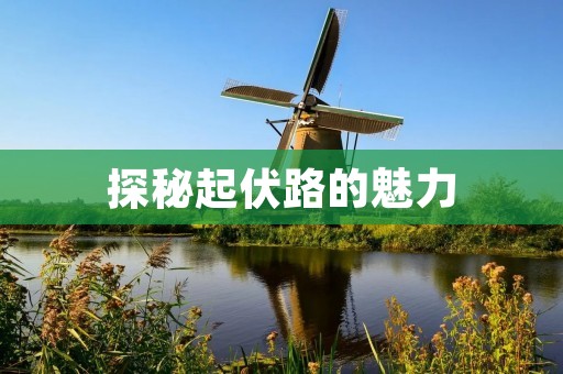 探秘起伏路的魅力 探秘起伏路的魅力