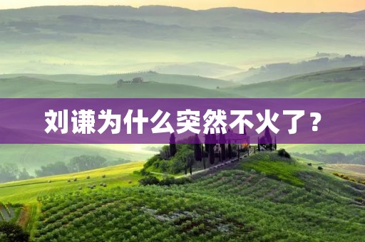 刘谦为什么突然不火了？