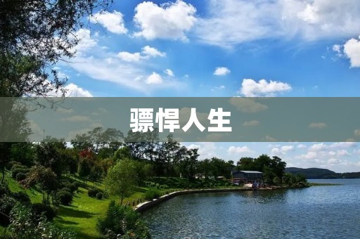 骠悍人生：不屈不挠的追求