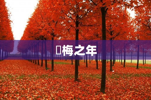 摽梅之年：走过人生的花季，却未曾停歇