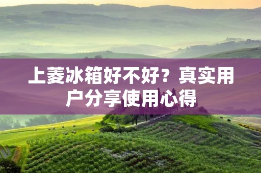 上菱冰箱好不好?真实用户分享使用心得