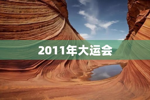 2011年大运会：让青春在运动中绽放