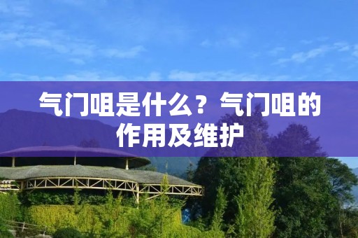 气门咀是什么?气门咀的作用及维护 气门咀是什么?气门咀的作用及维护