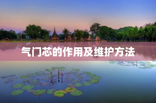 气门芯的作用及维护方法 气门芯的作用及维护方法