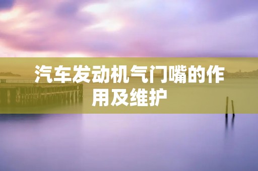 汽车发动机气门嘴的作用及维护 汽车发动机气门嘴的作用及维护