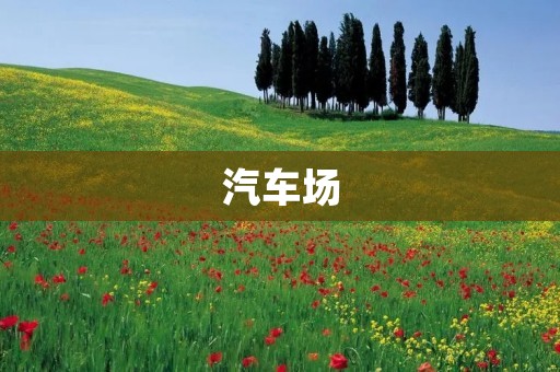 汽车场:汽车交易的重要场所 汽车场:汽车交易的重要场所