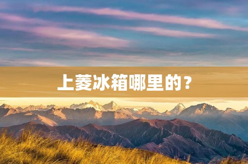 上菱冰箱哪里的?