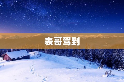 表哥驾到：一个温馨的亲情故事