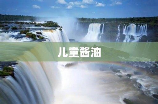 儿童酱油:如何选择适合孩子的酱油? 儿童酱油:如何选择适合孩子的酱油?