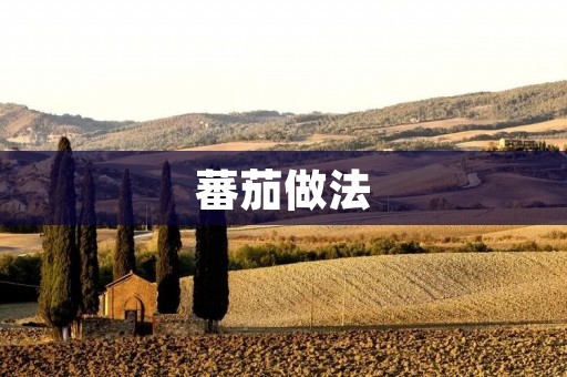 蕃茄做法：让你轻松掌握美味又健康的烹饪技巧
